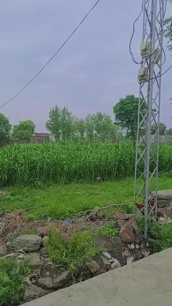 @Alijaanboom