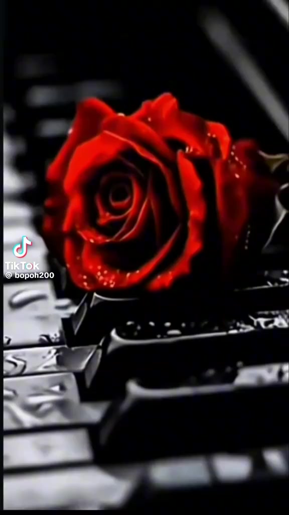 @user4304283510668