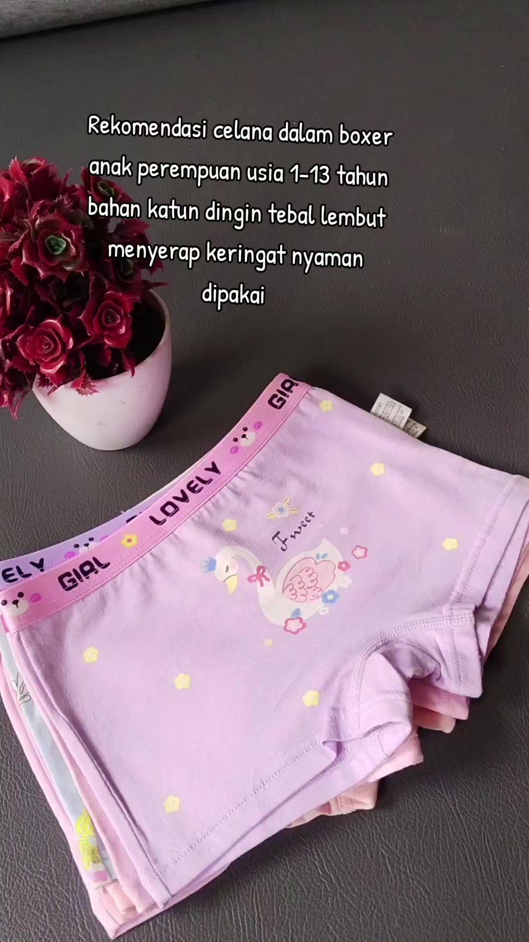 @manuellashop