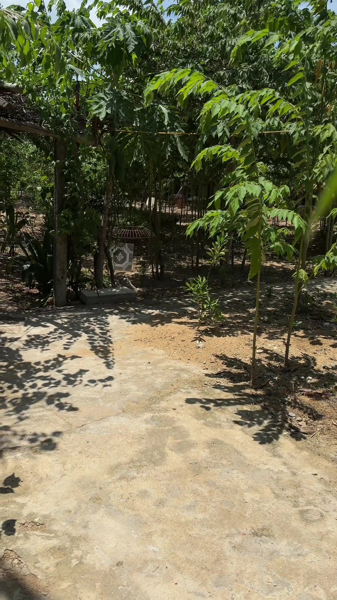 @Quốc khánh