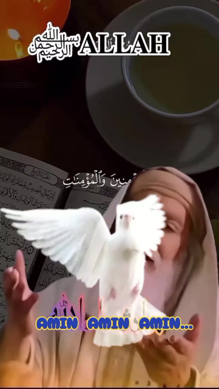 @💙👑SEYIDQIZI👑💙...313✍️