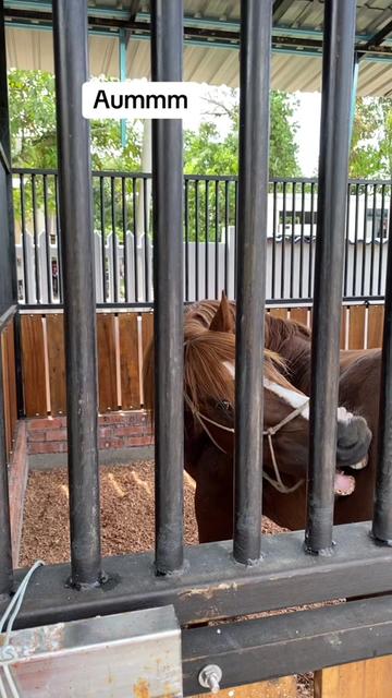 @Subdepo Arabian Park