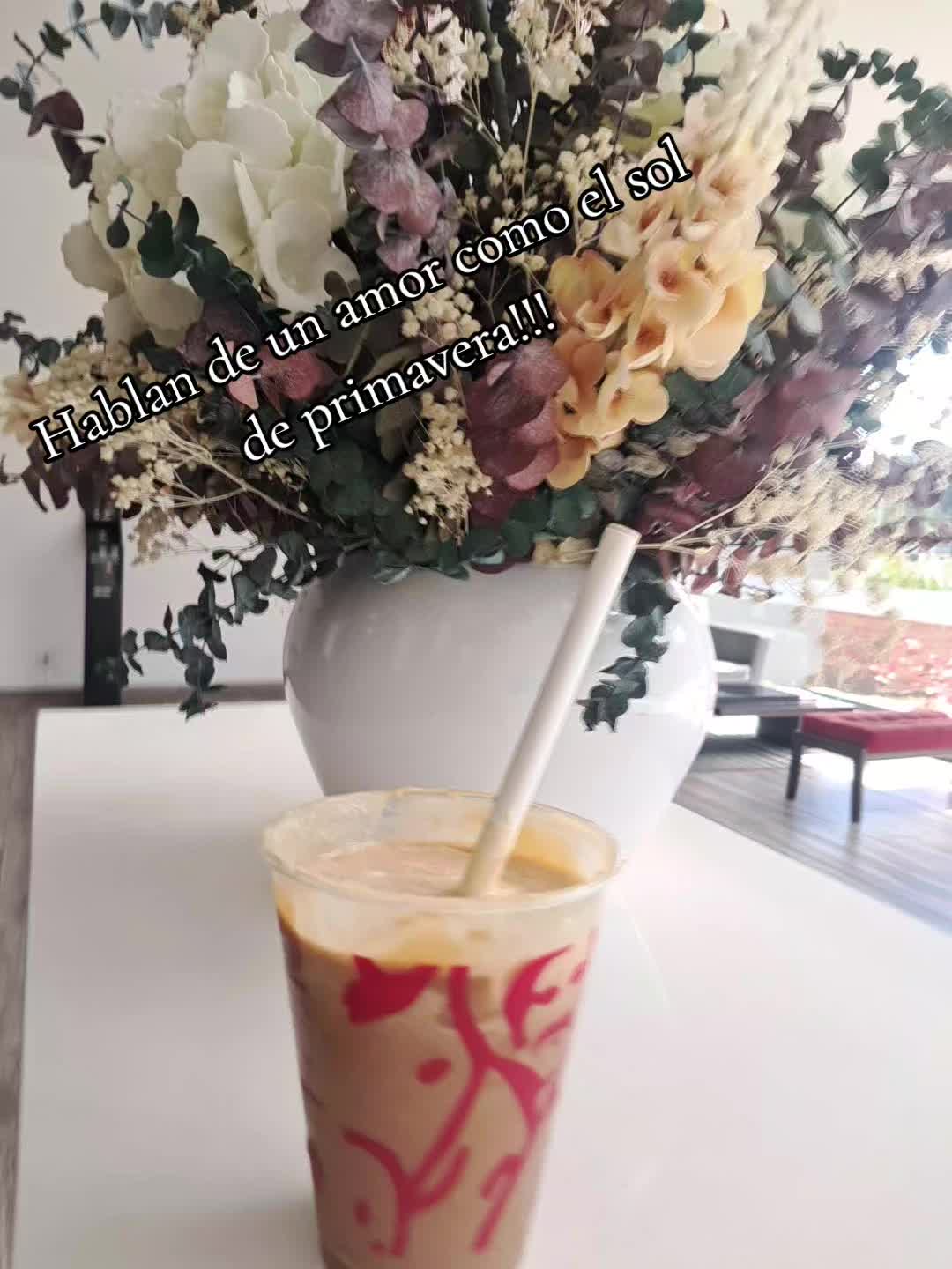@La Pivijayera
