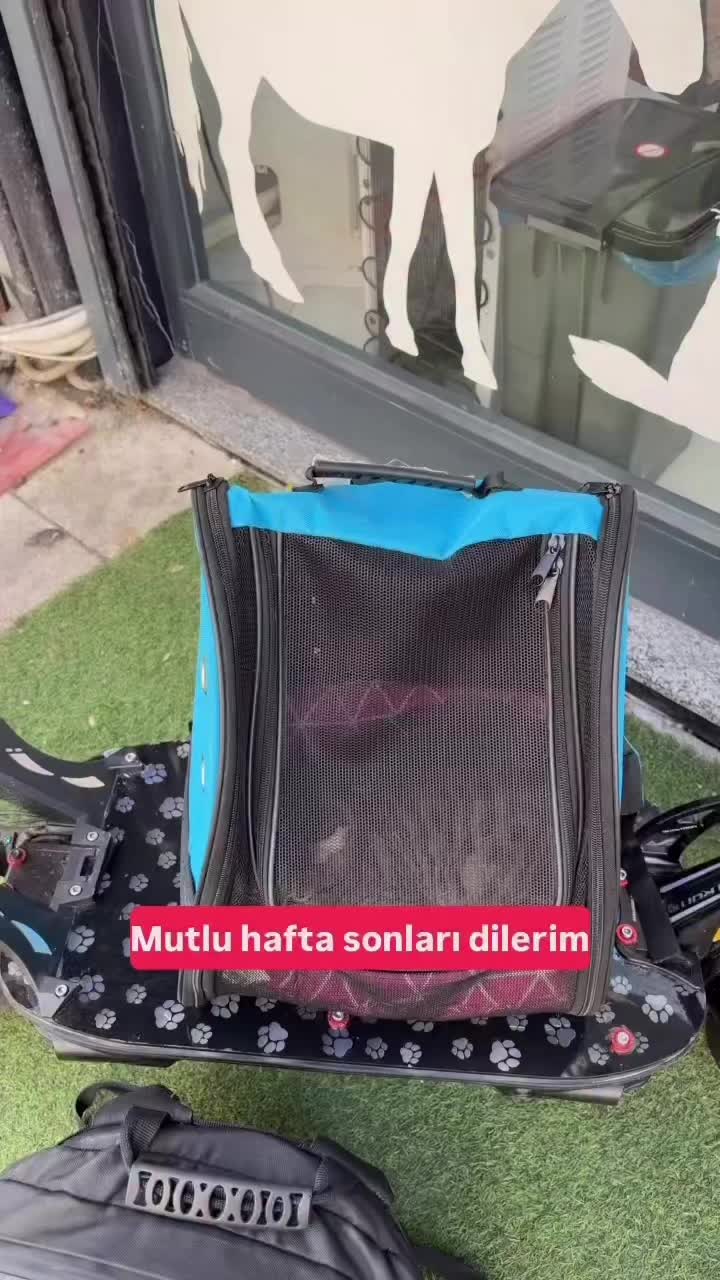 @Salim Kuntoğlu