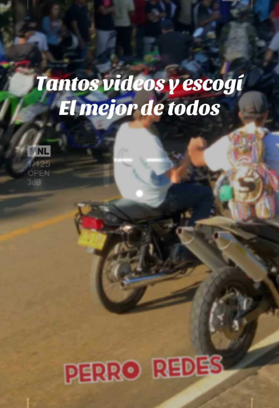 @Perro redes