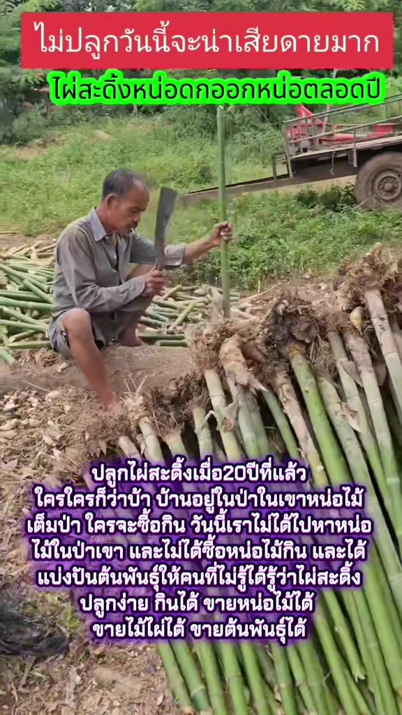 @นัดดาชอป