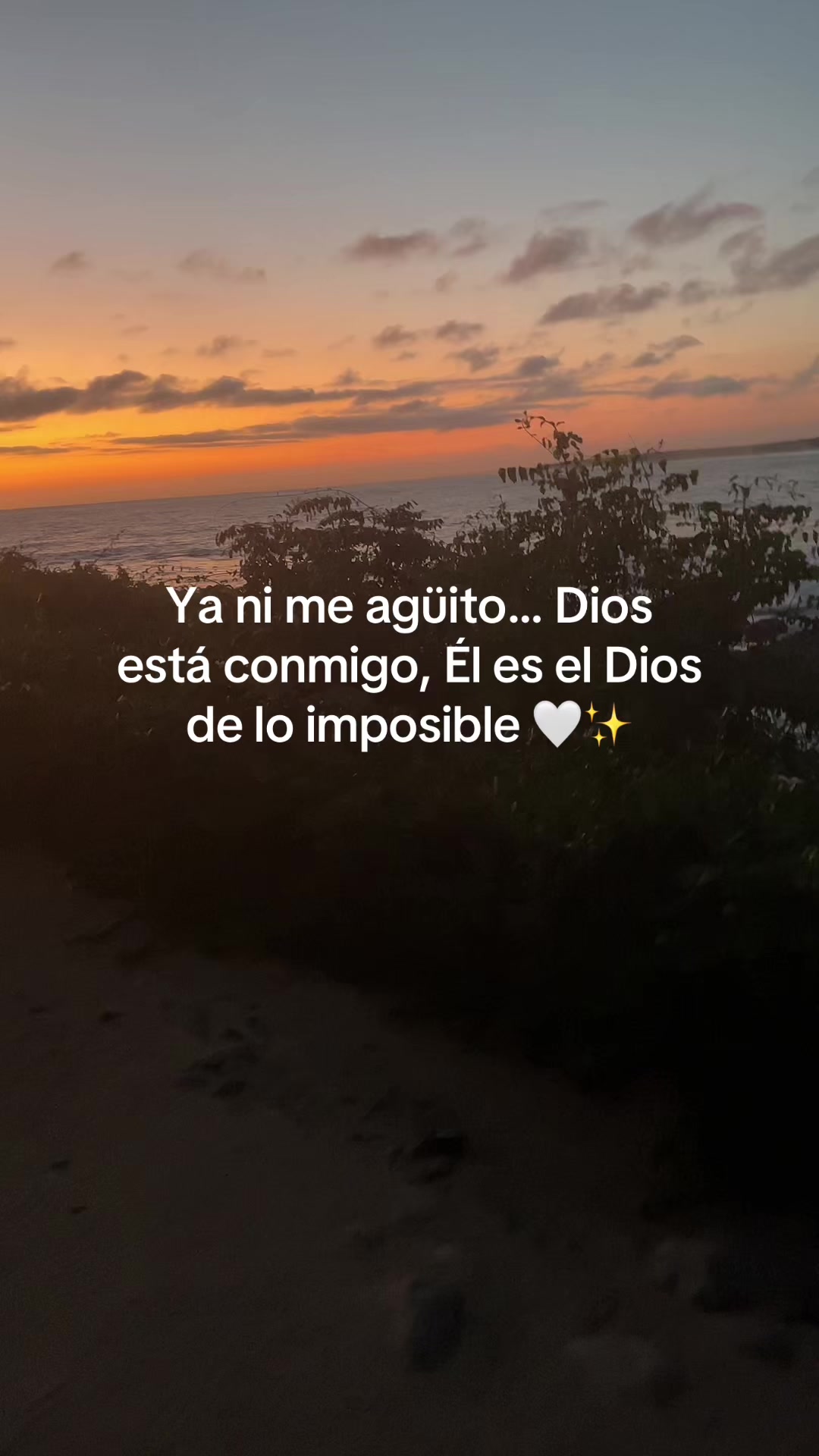 @Mar&iacute;a MH✨