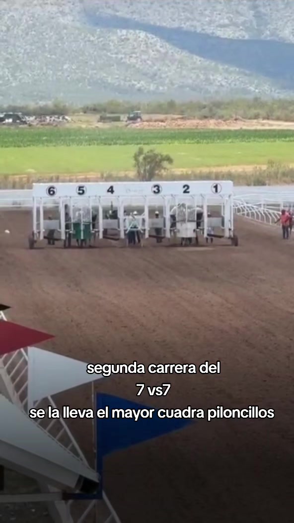 @carriles altos de jalisco🐎