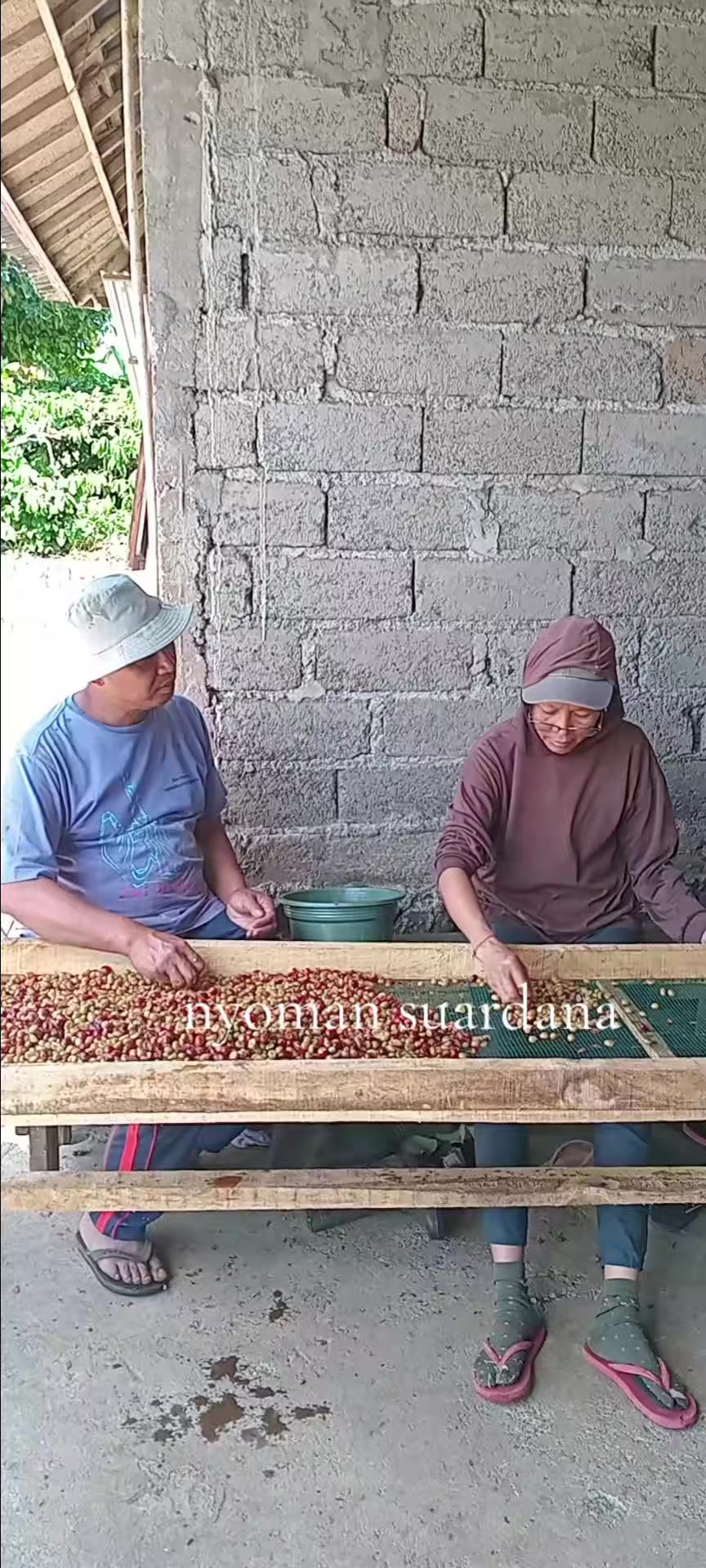 @Nyoman Suardana