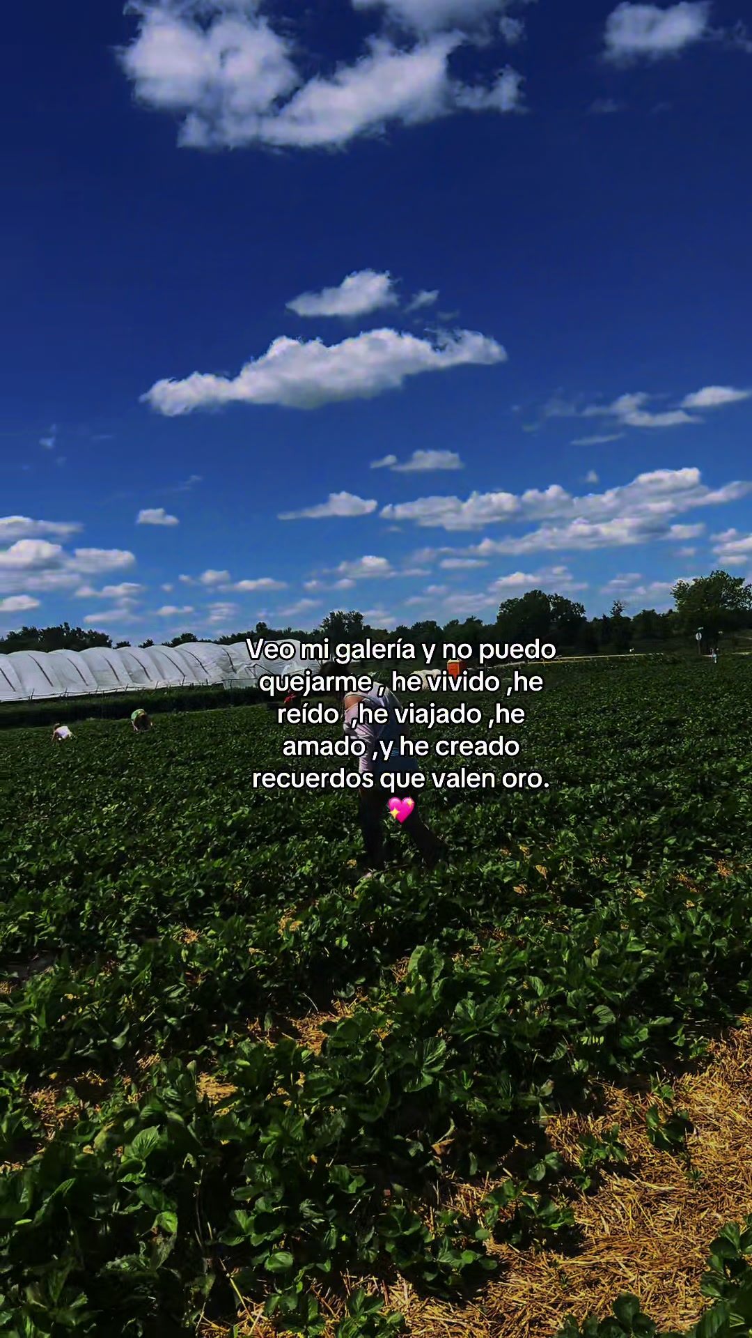 @Lili 🍇🕷️⃤