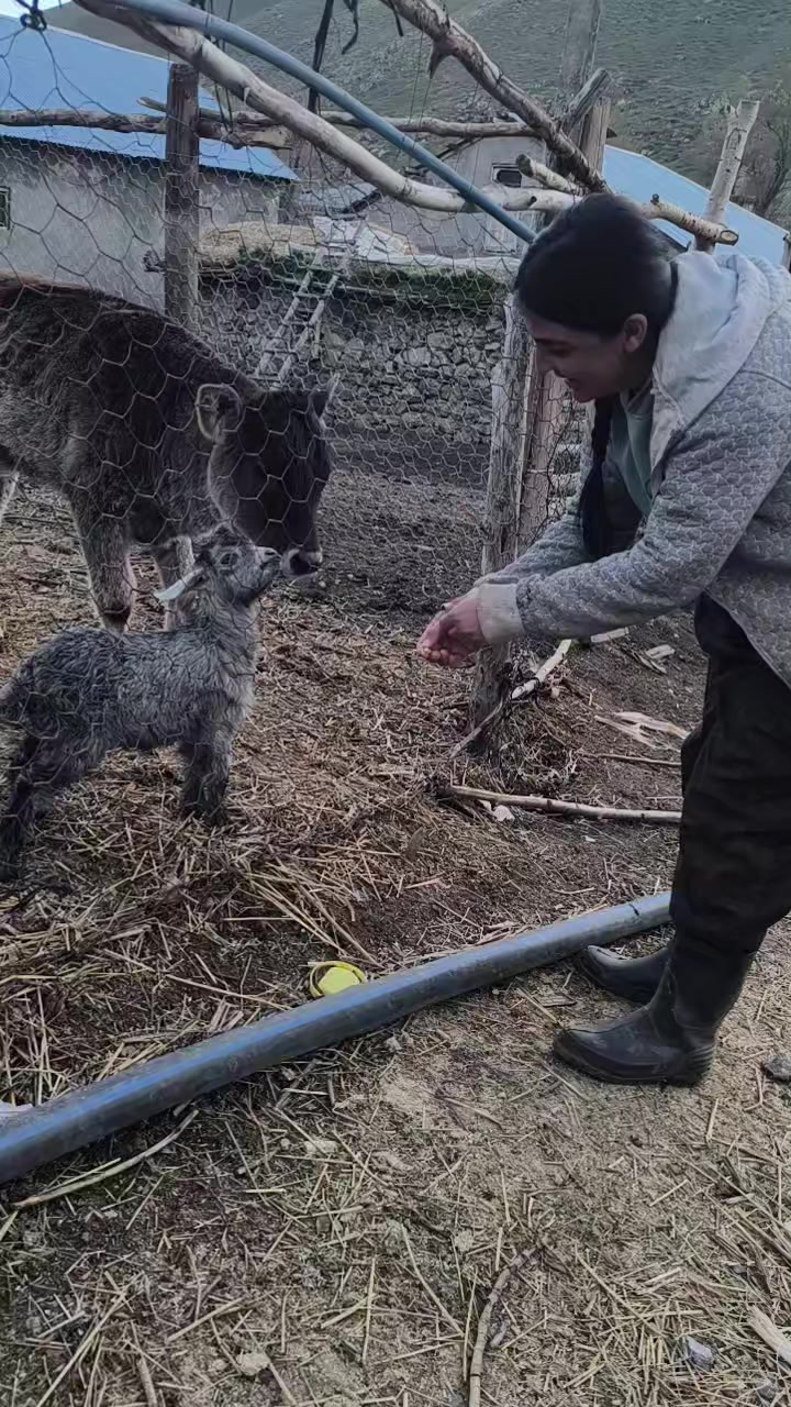 @Şilan karaman