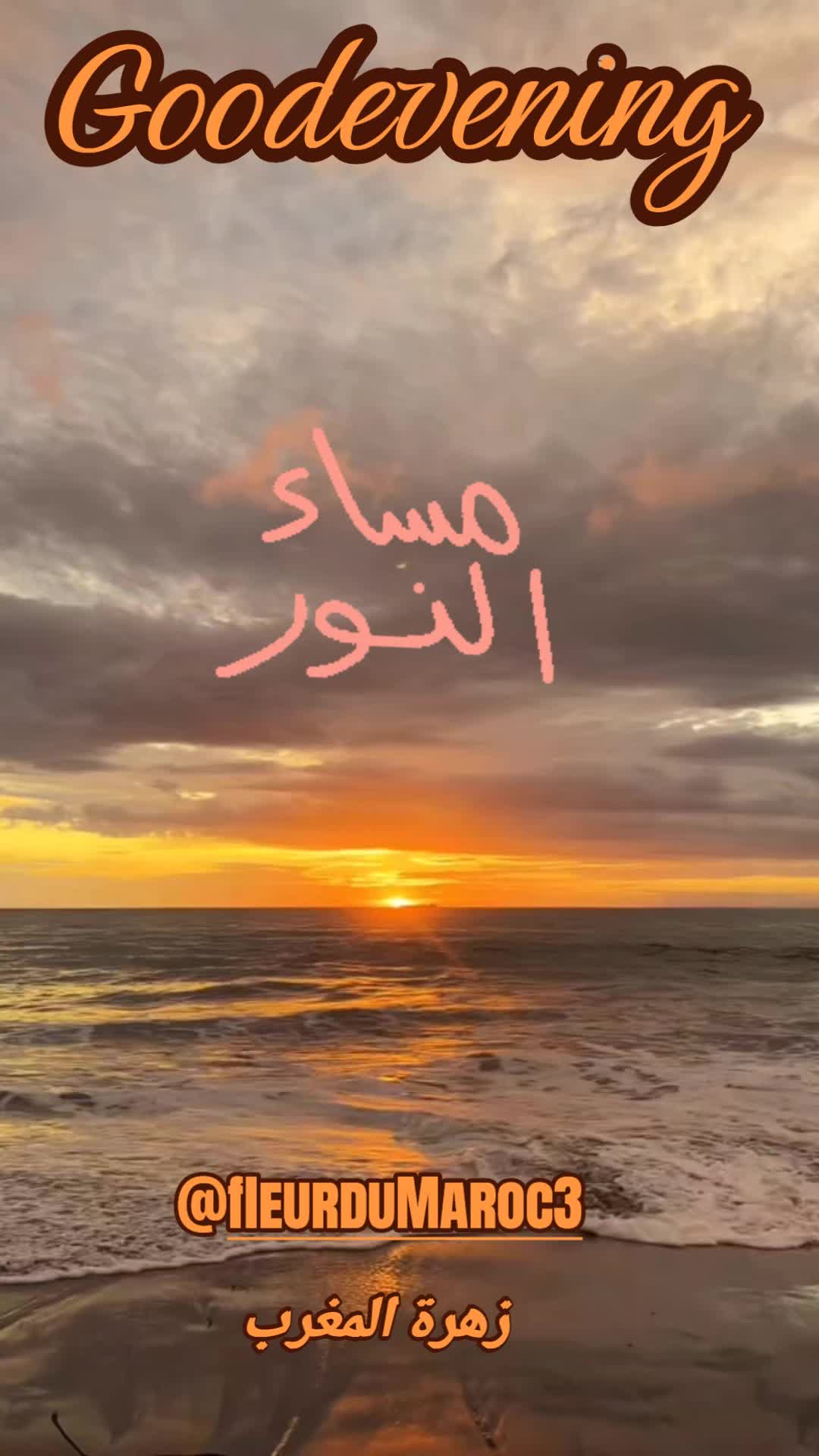 @زهرة المغرب
