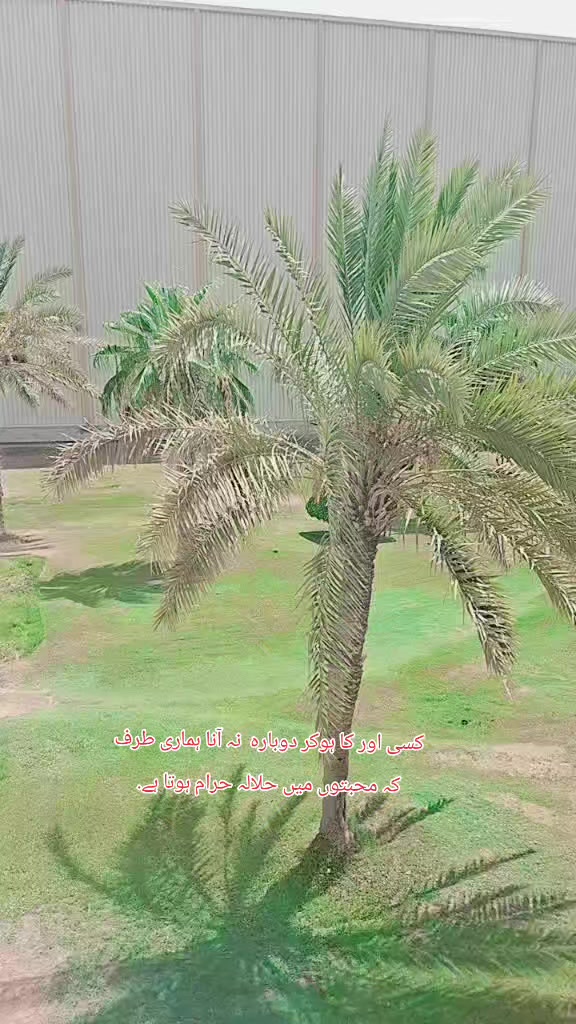 @Sardar Tabassum Khan