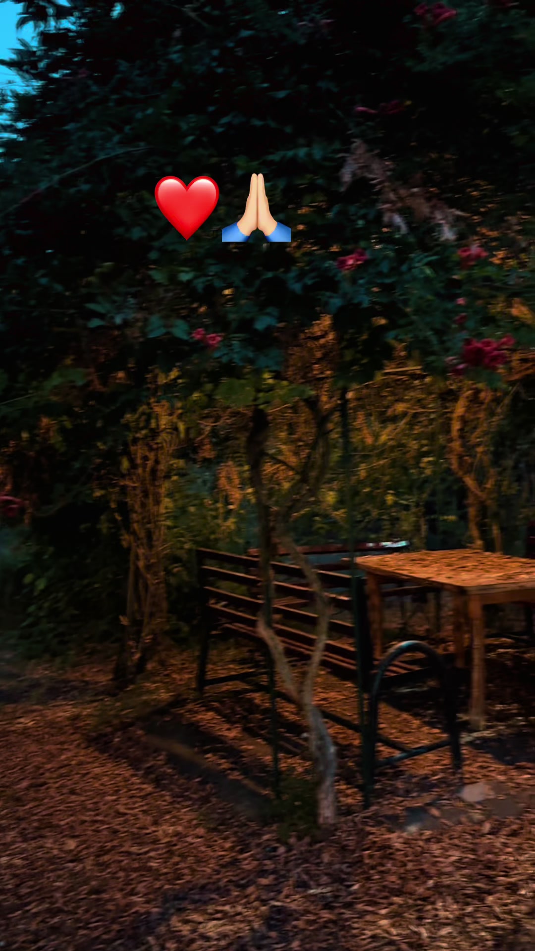 @by___1996