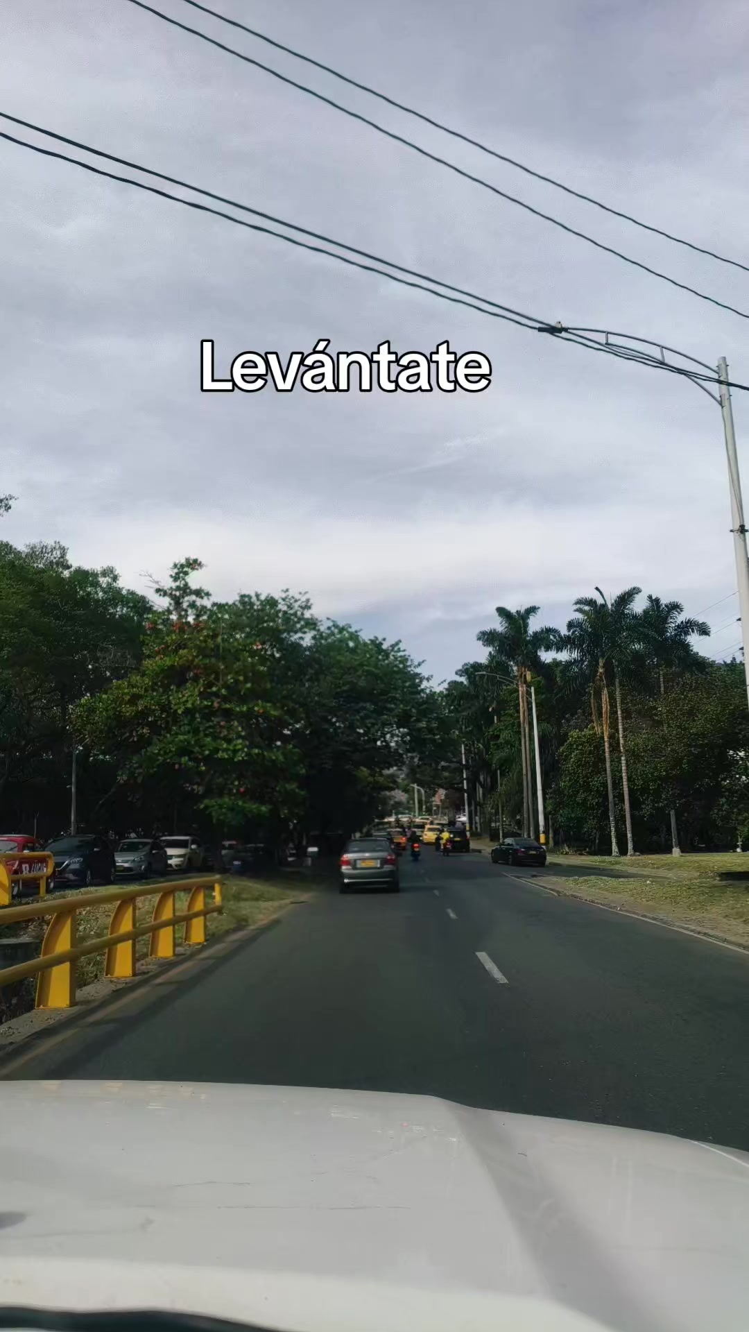 @Luna Kol