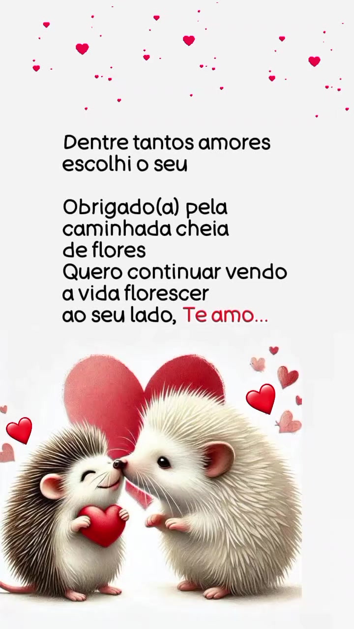 @Notifica&ccedil;&atilde;o Favorita