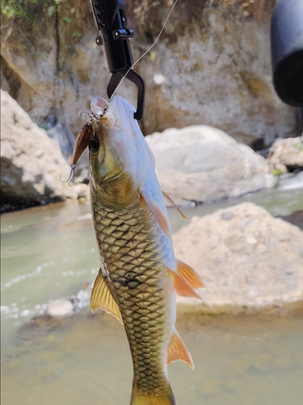 @gustavxfishing