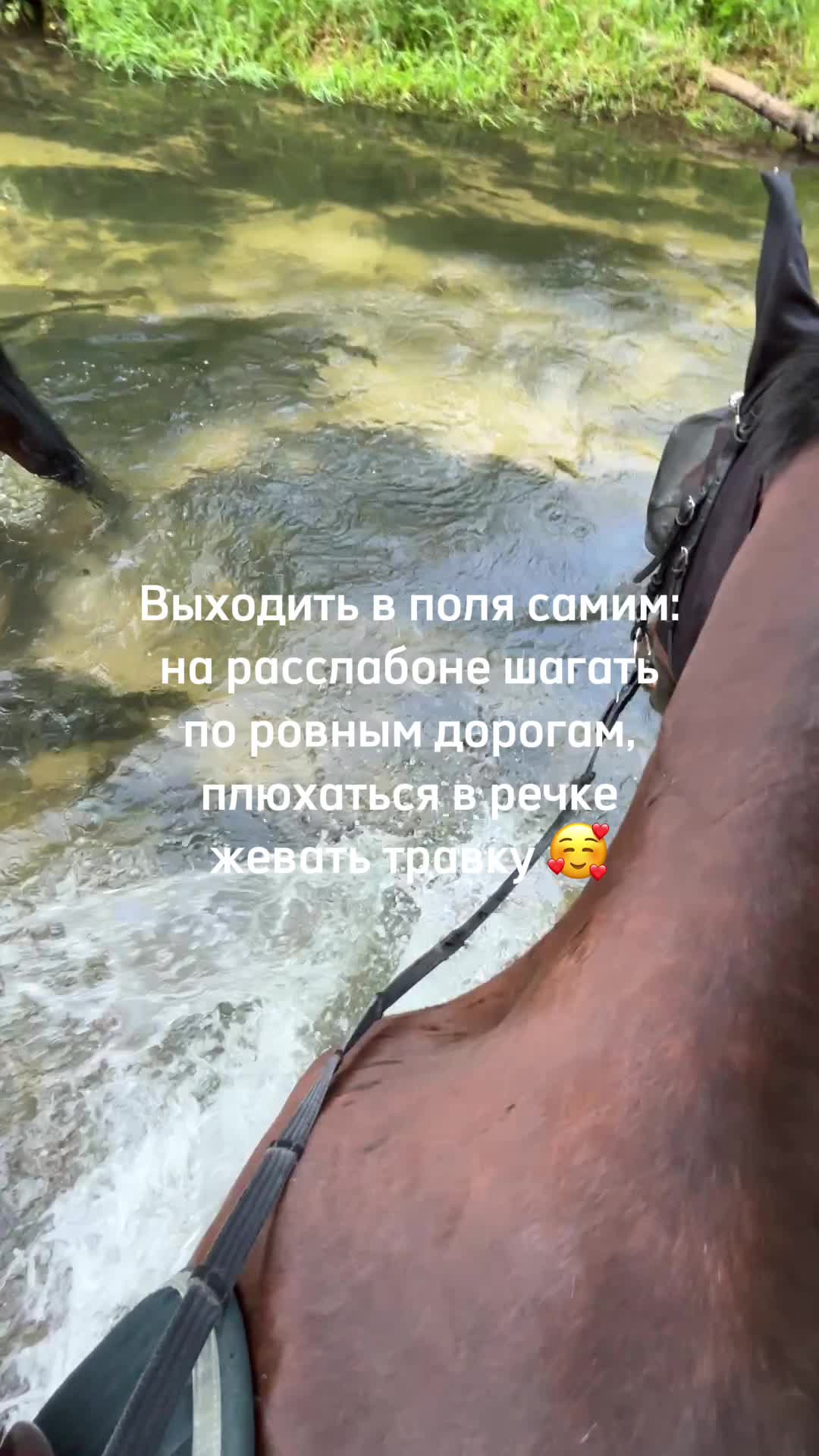 @пыликуснул