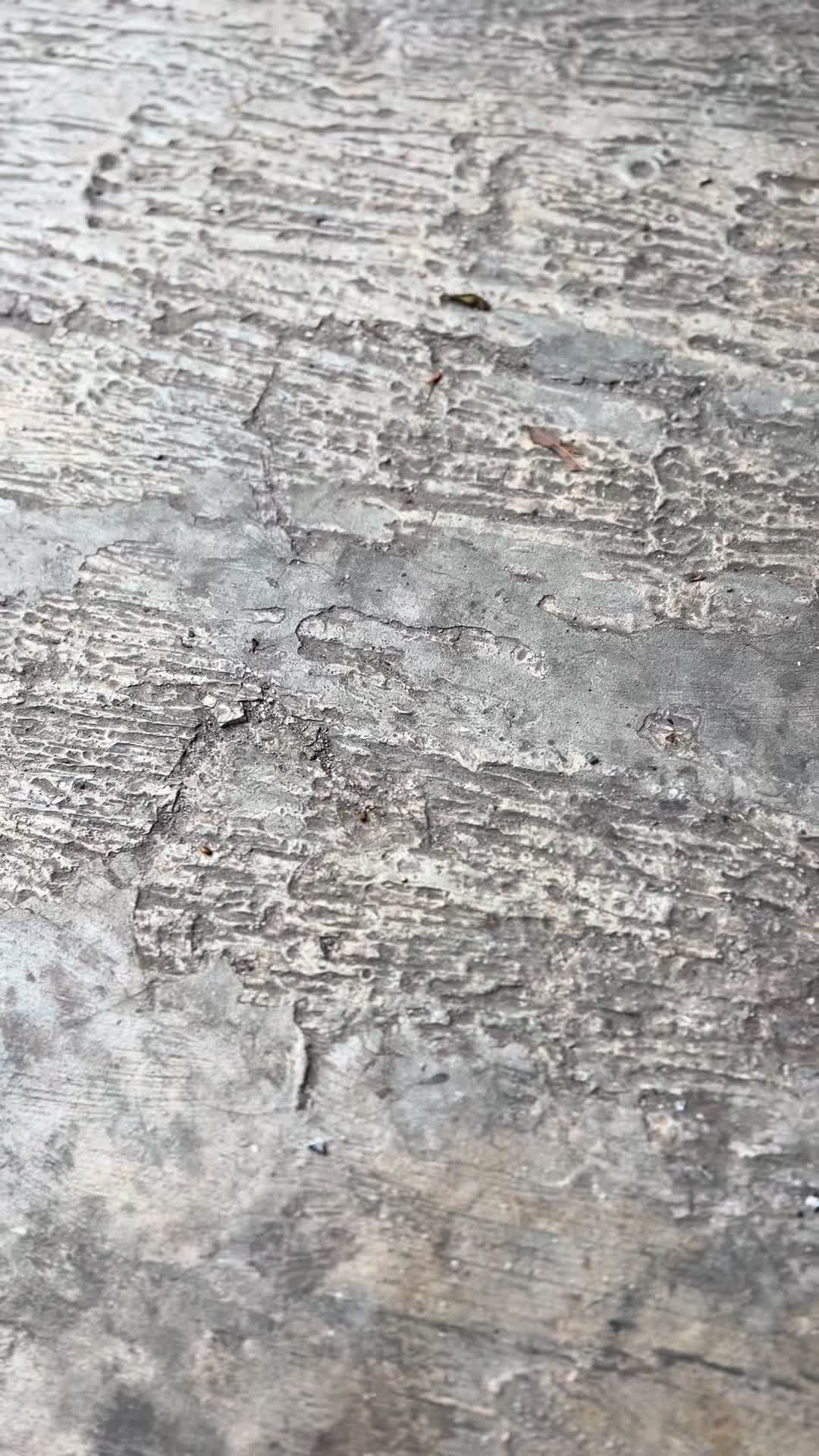 @rxtitituit.417