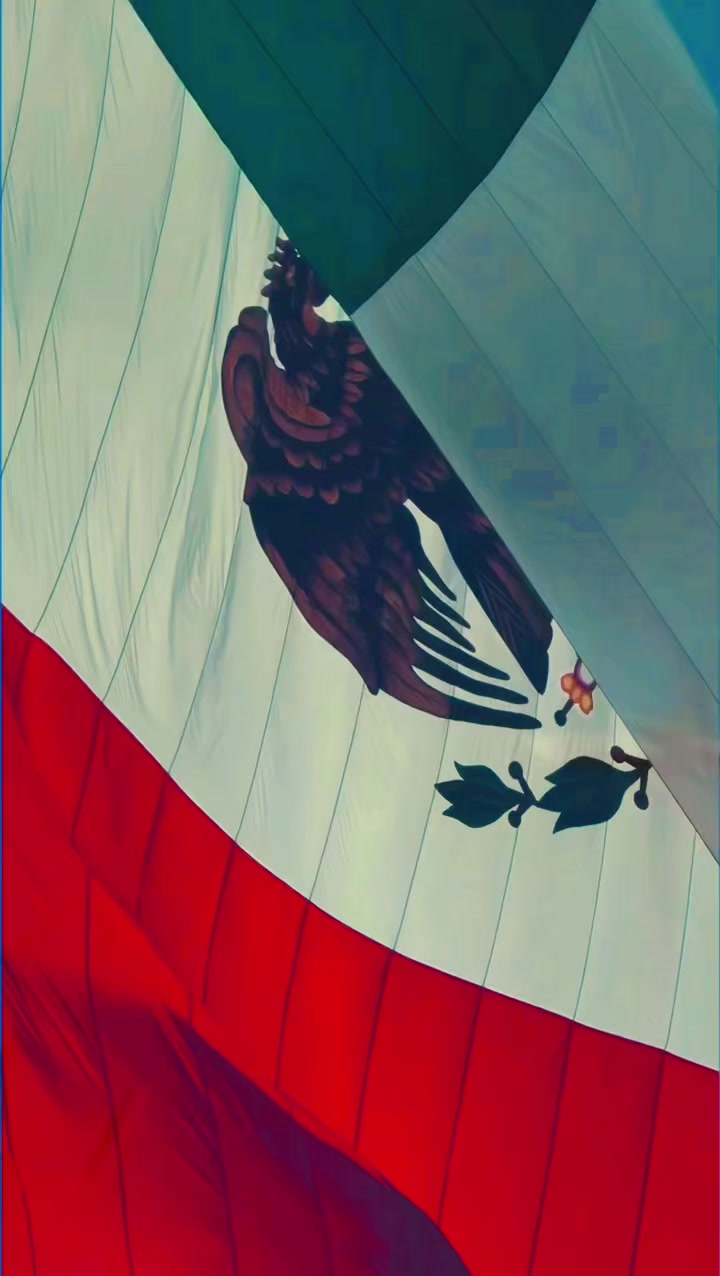 @Magi Pérez 1234