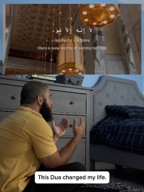 @tazthepali