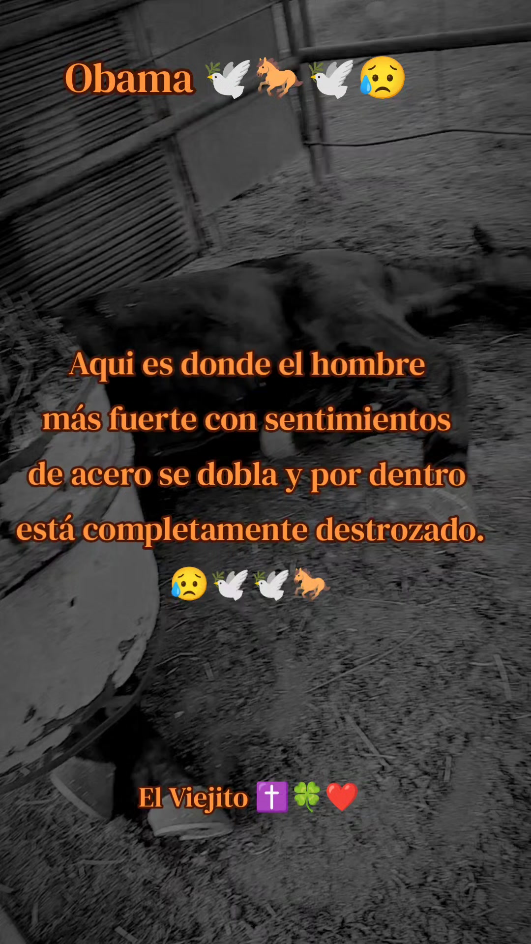 @Viejito Cordova✝️🍀❤️🐎🦅