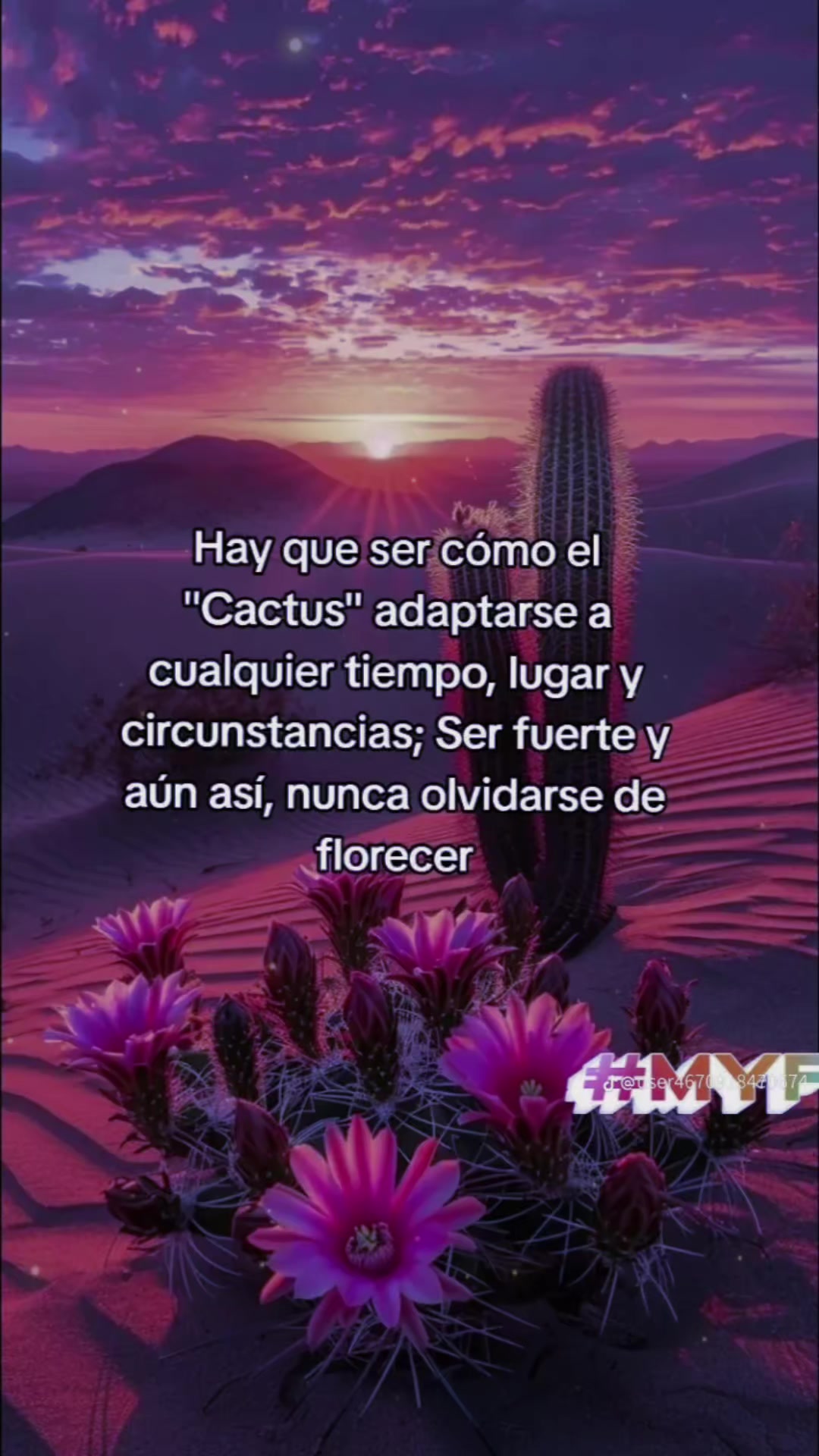 @Wendy. M.O.8