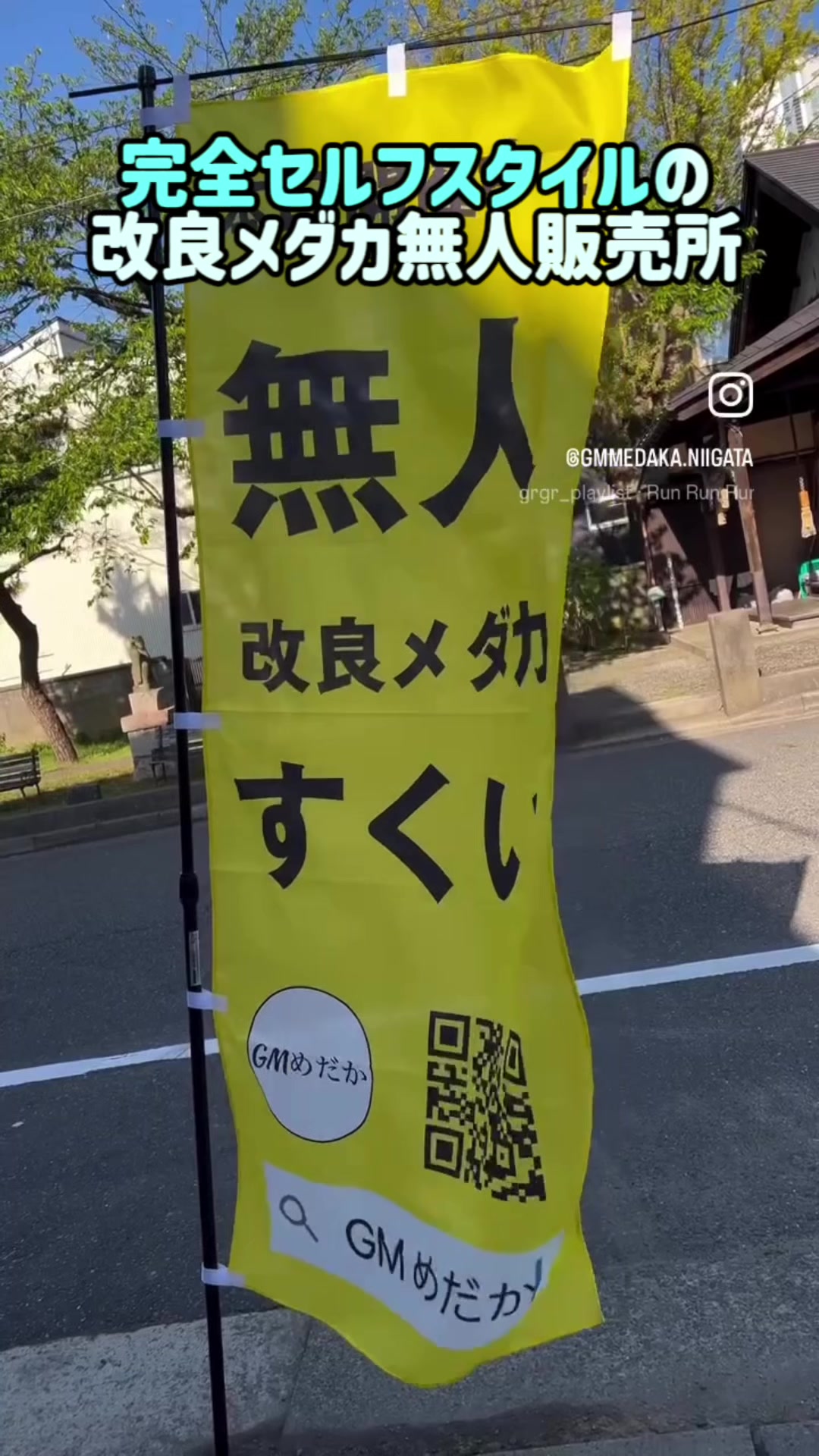 @gmmedaka.niigata