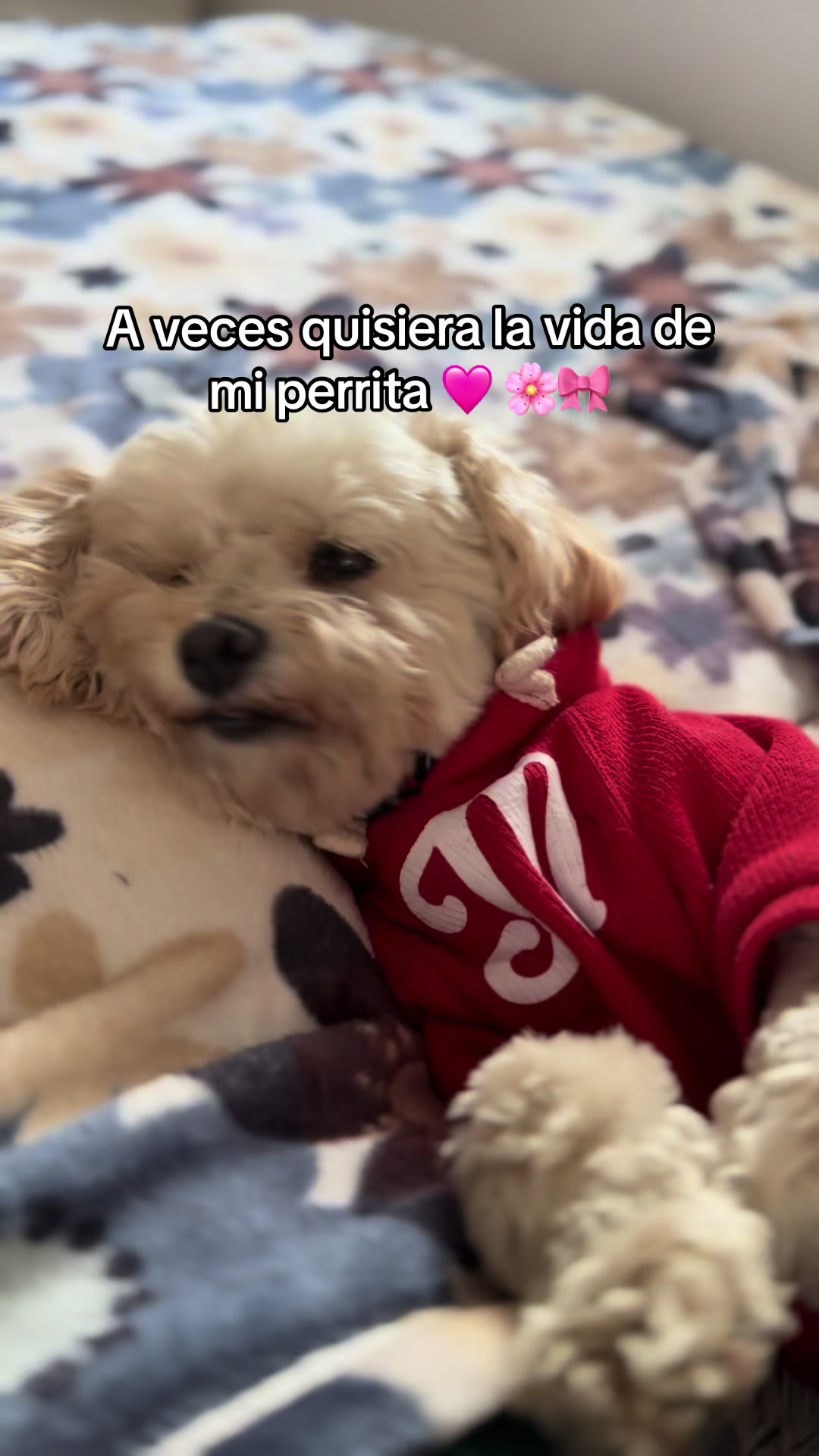 @Nad