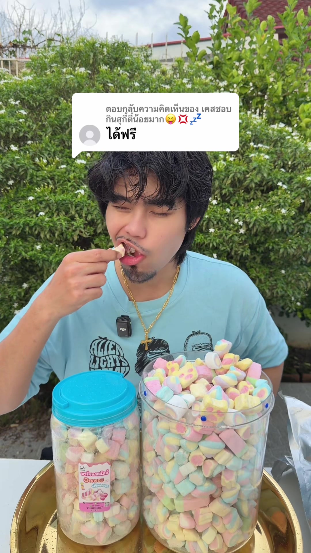 @DADASHOPP.