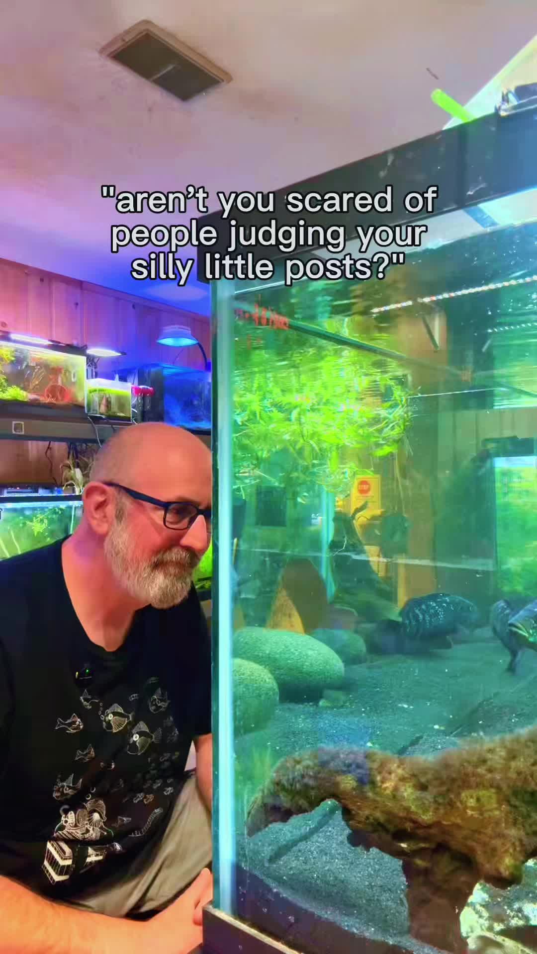 @Dads Fishroom