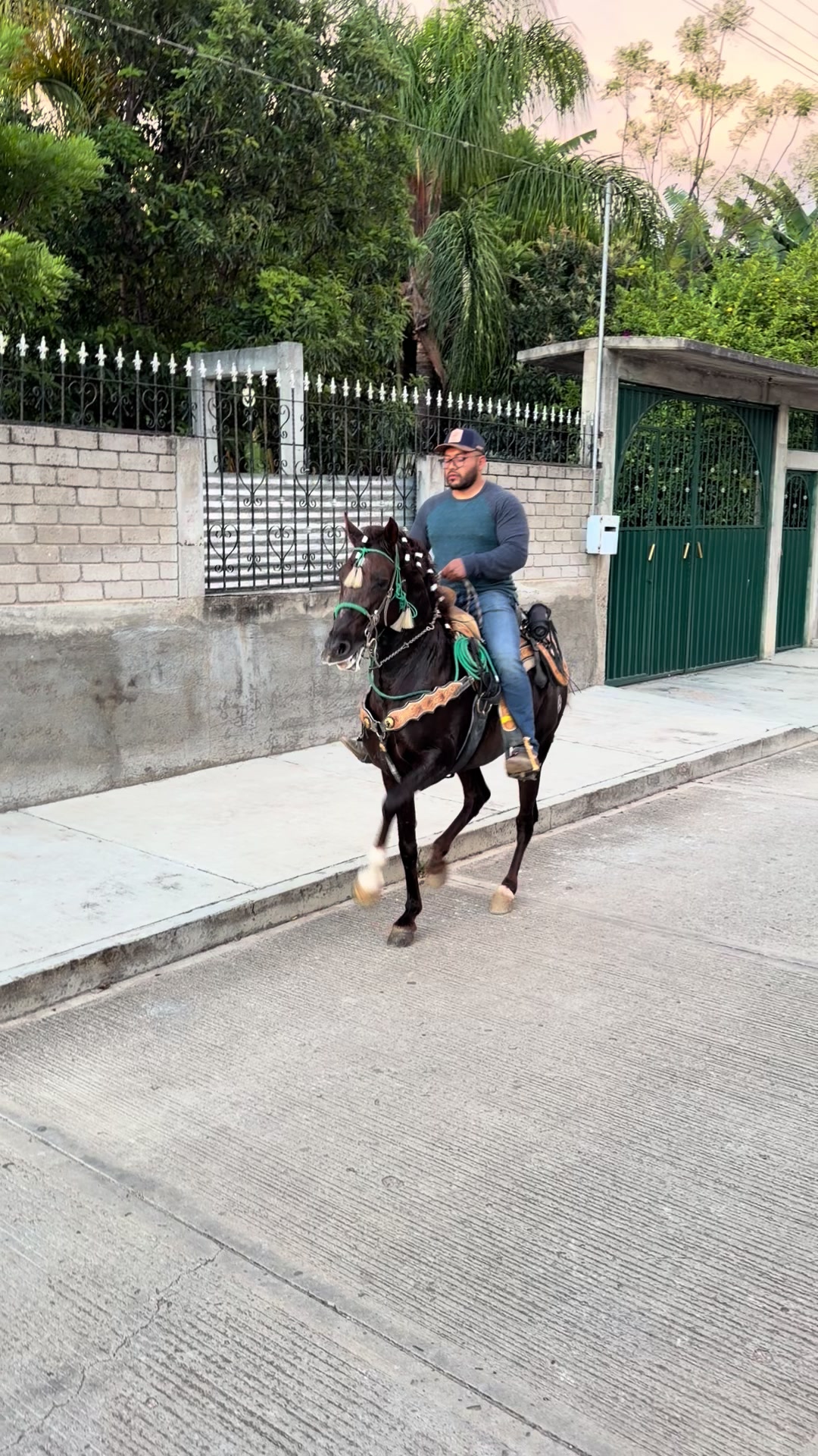 @Jos&eacute; Fonseca