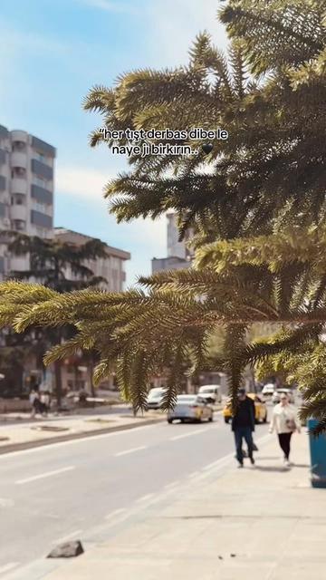 @✪Storilik.21✪