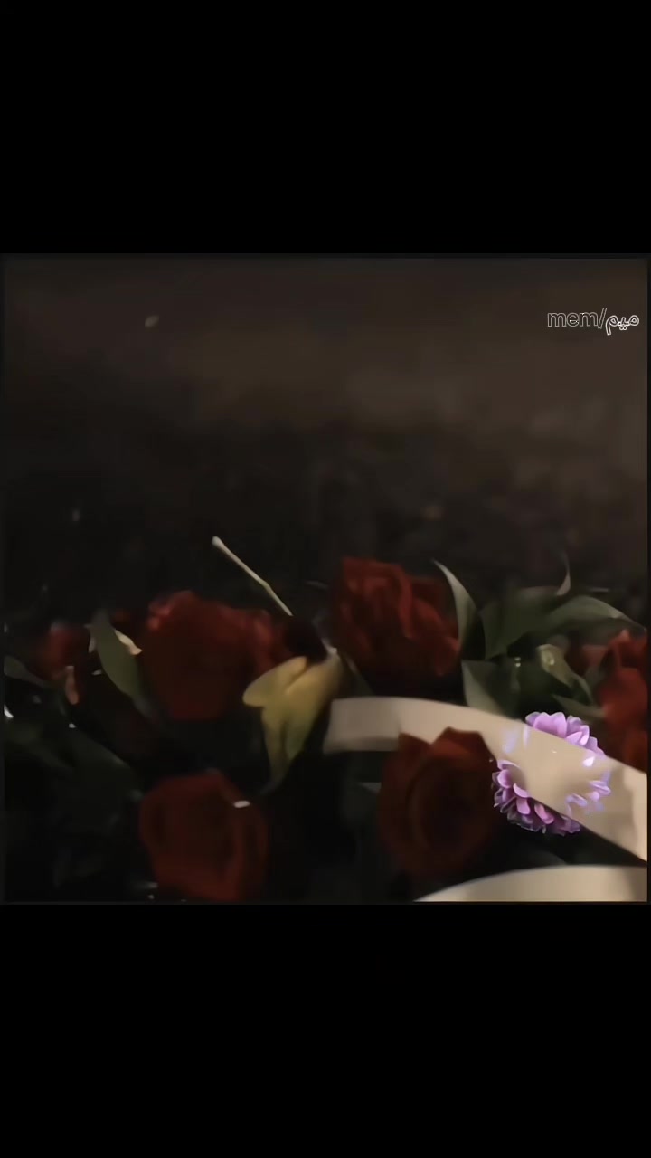 @مــِيــمَ/𝑀𝑎𝑚ٍ﮼ 🐾🐈⬛﮼