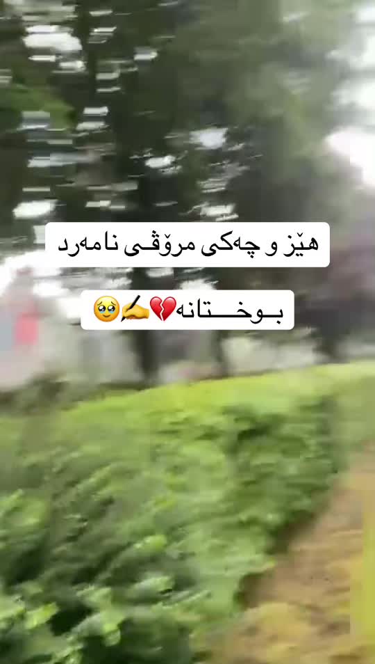 @wtay_shaz00