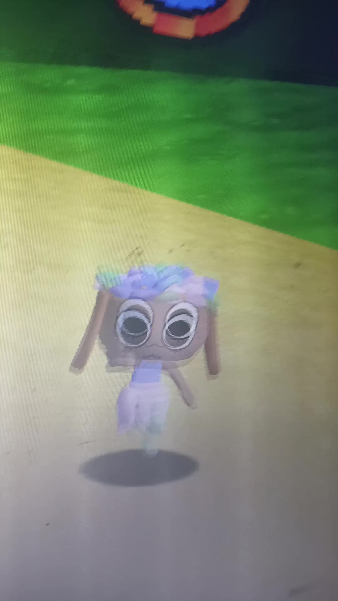 @bradar SHRIMPO