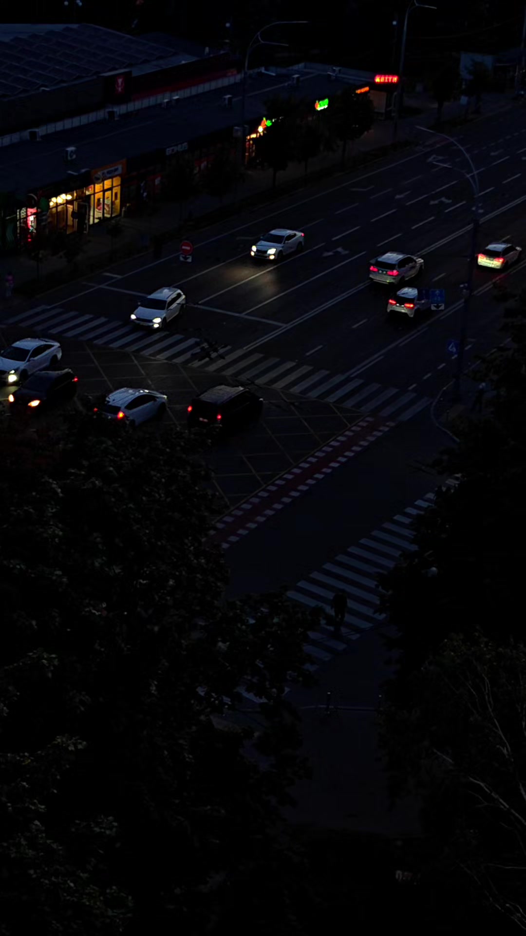 @ℕ𝕒𝕥𝕦𝕣𝕖 𝕝𝕠𝕧𝕖𝕣🌿