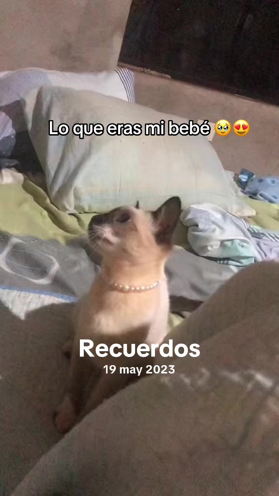 @lettymorales50