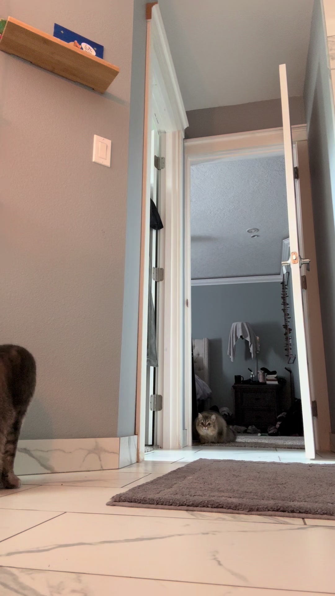 @Ronni.AuDHDwildflower