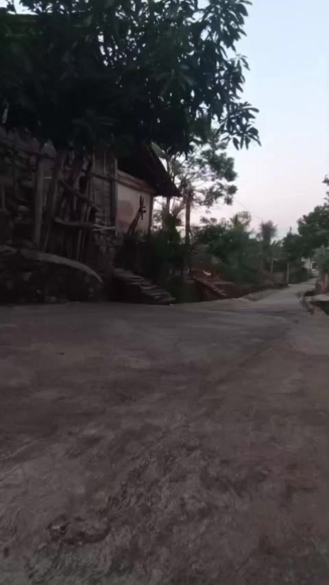 @alam tri wahono