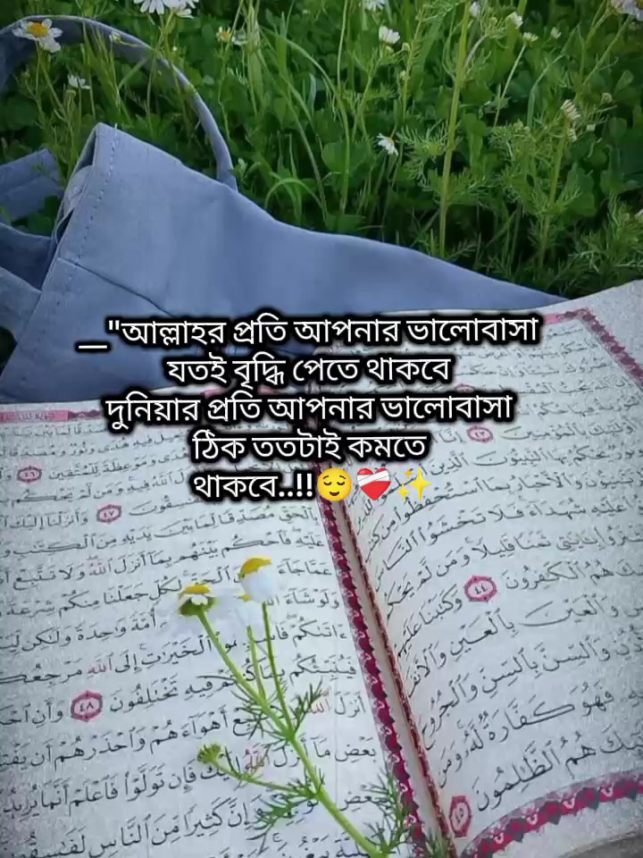 @🐸⎯͢⎯⃝জাতির নানি সাহেবা-♡🐸࿐