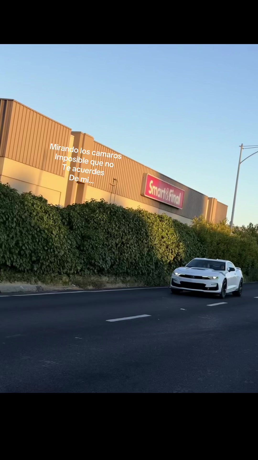 @Brandon77