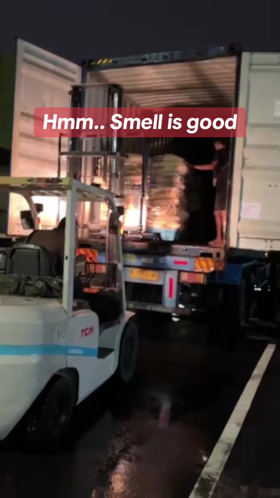 @guente koi