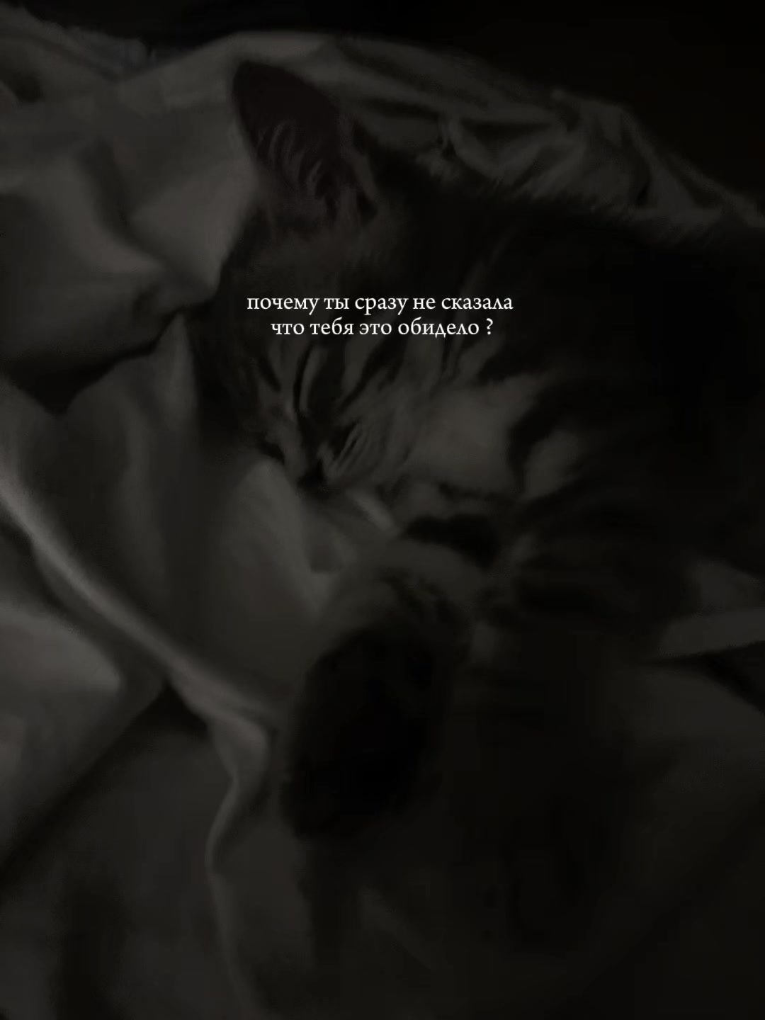 @варкис🐾