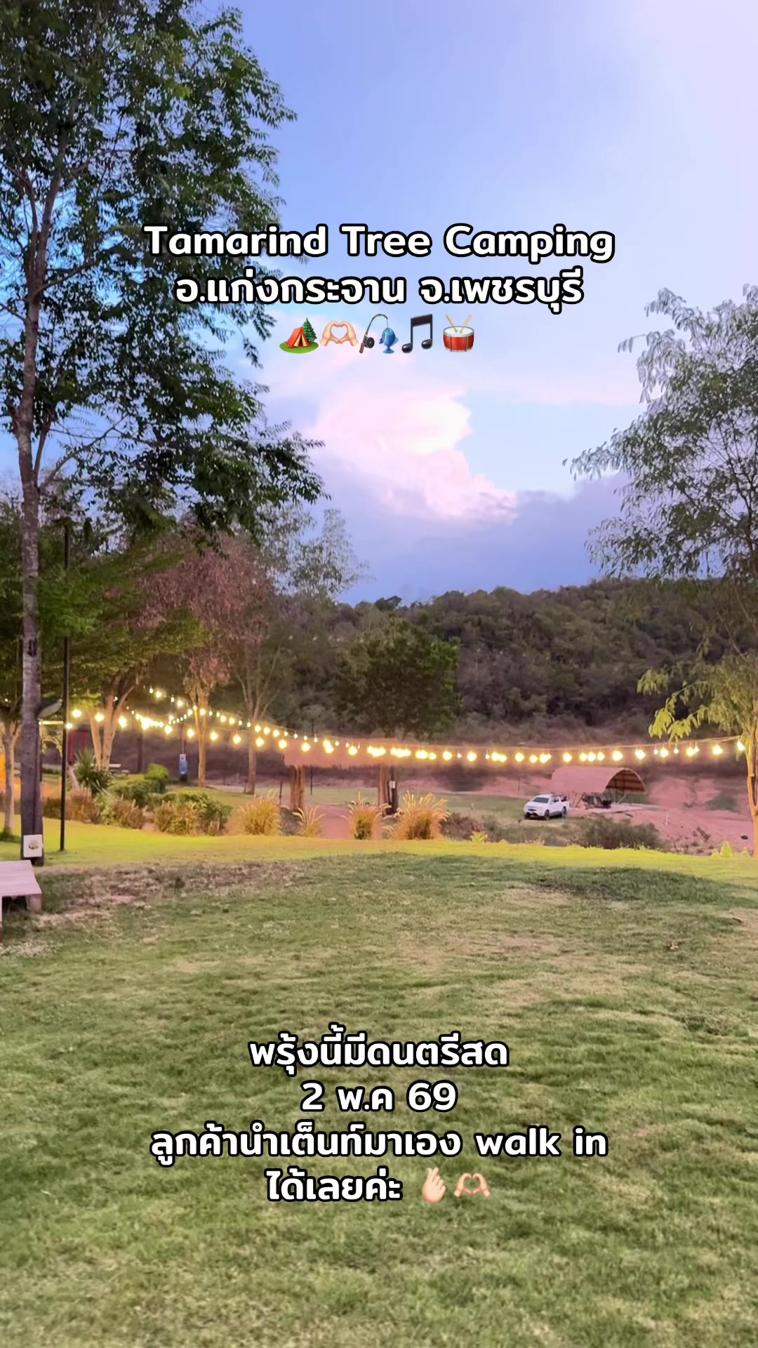 @🌳 Tamarind Tree Camping 🌳