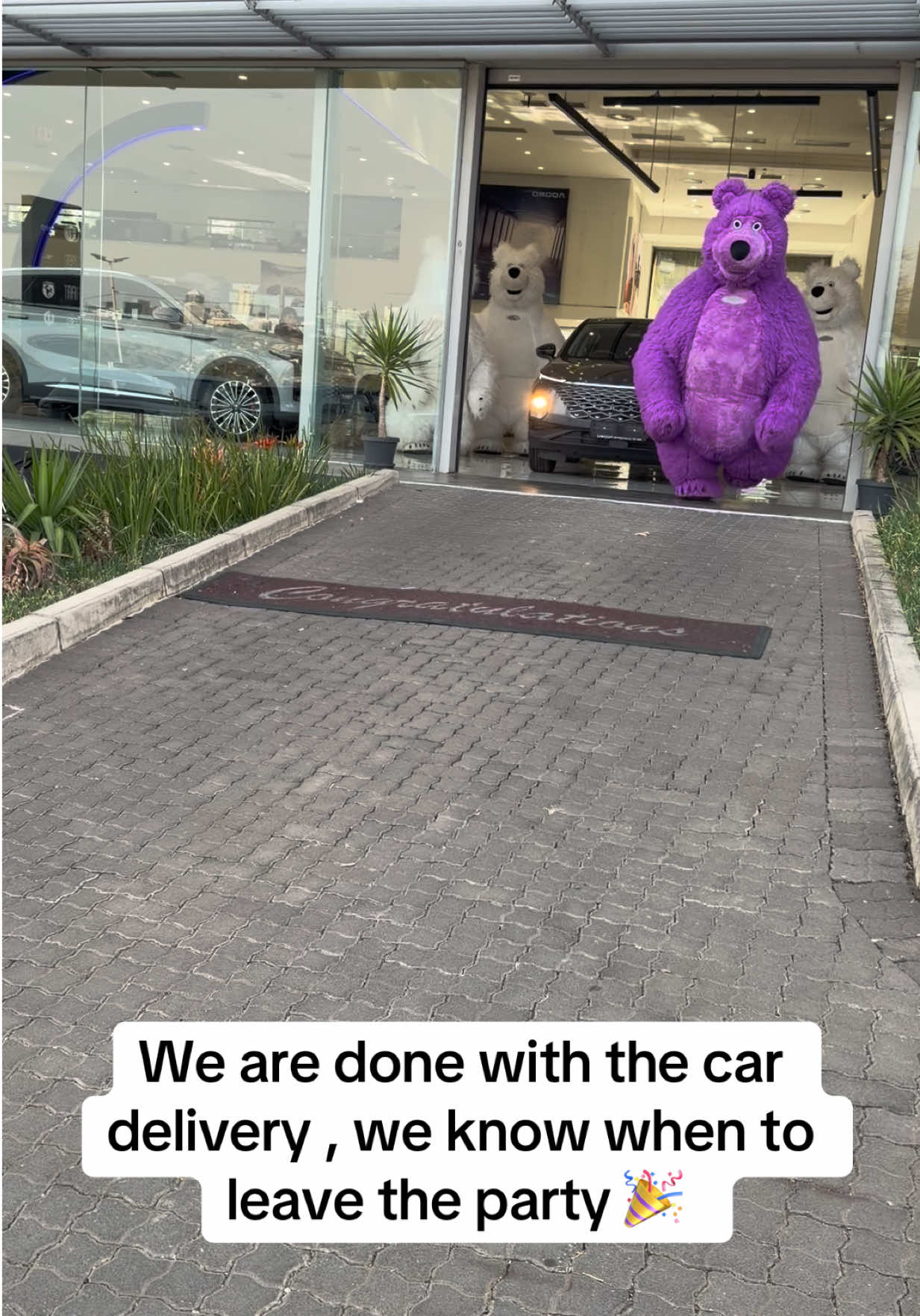 @dancingmascotssa