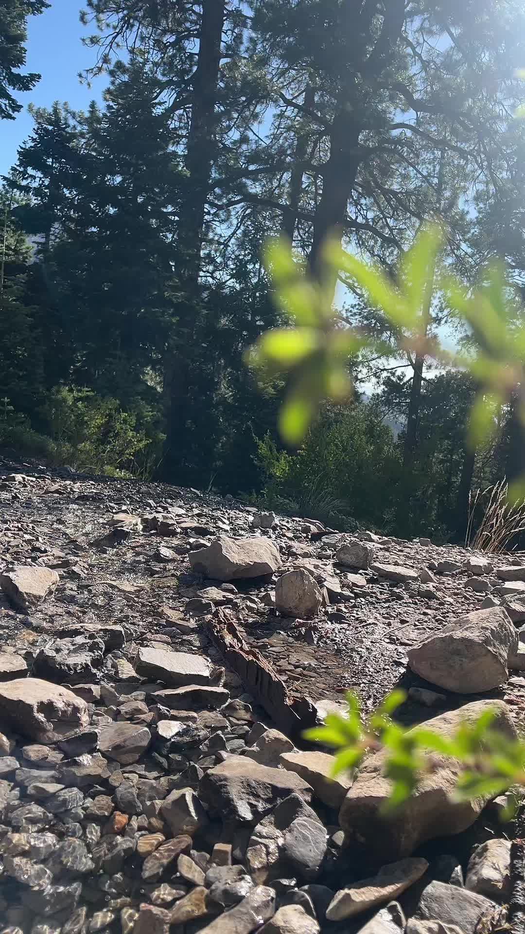 @<3