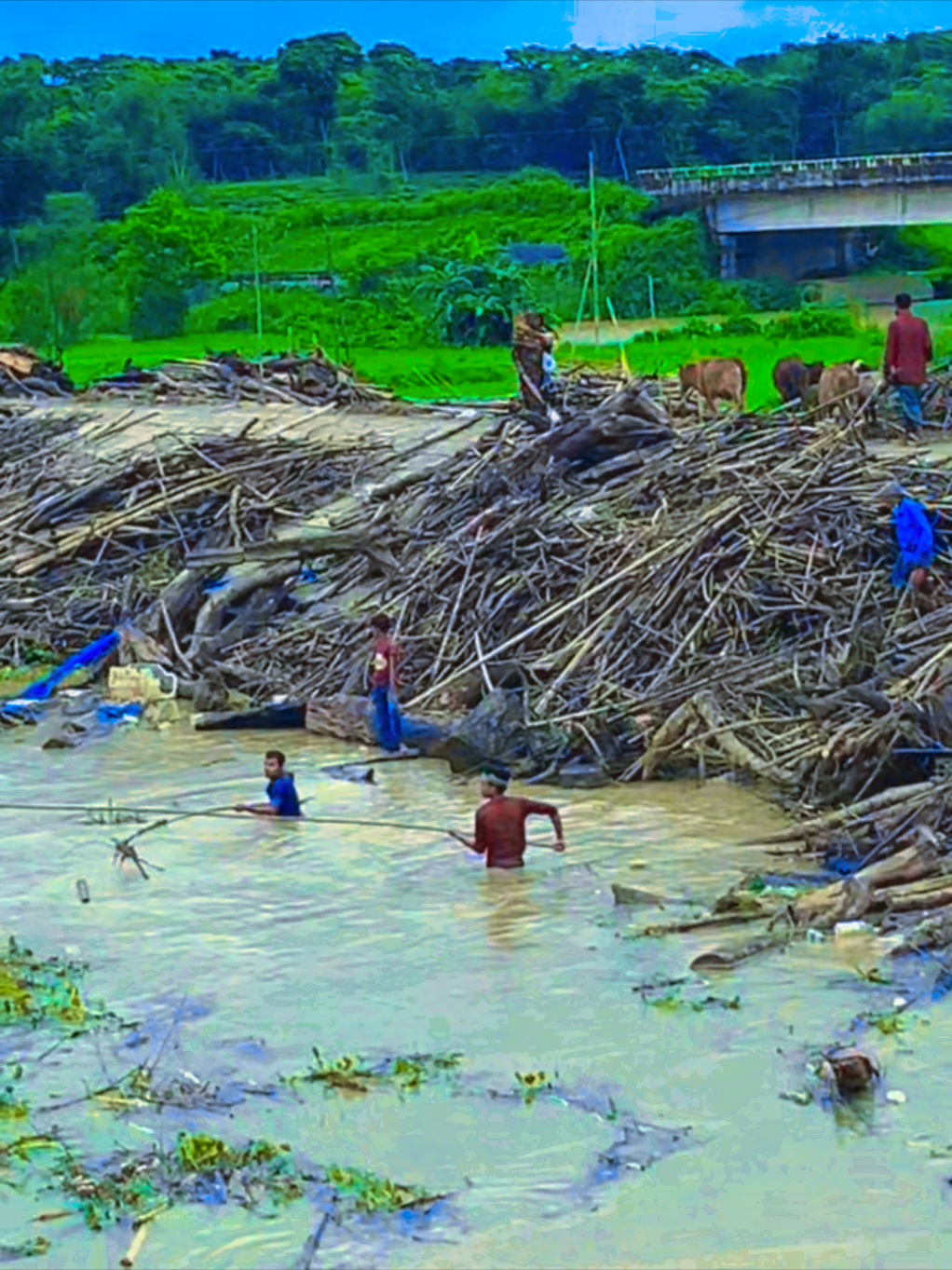 @ব্যর্থ জীবন!
