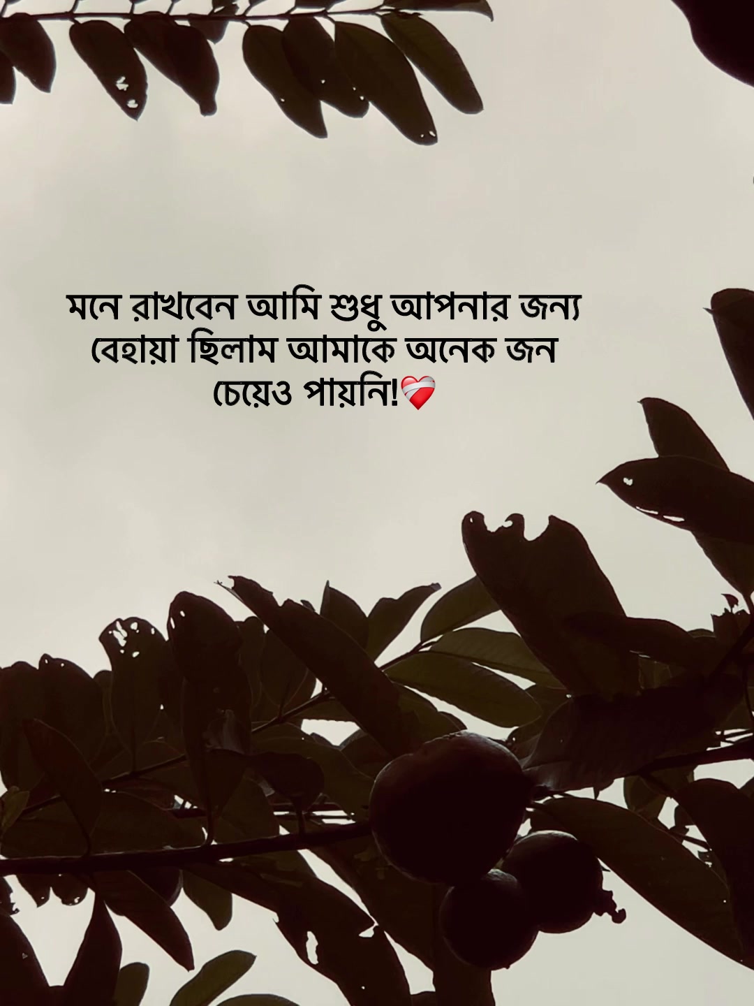 @Jit Baiddyađ§