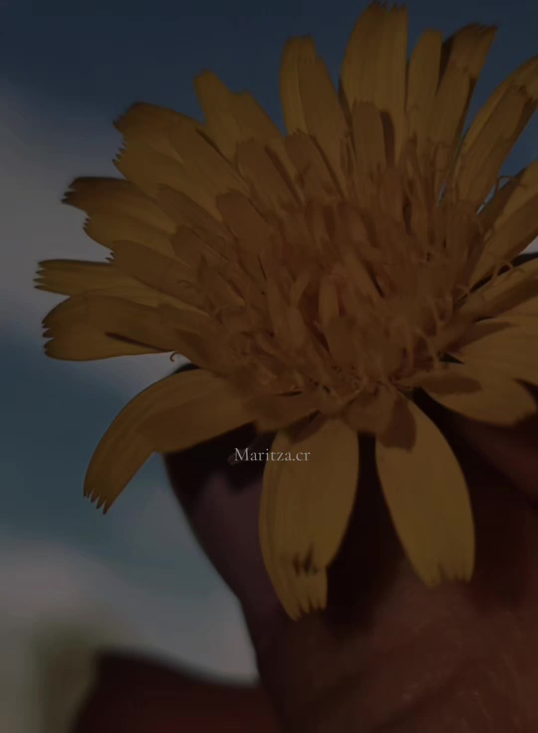 @𝕄𝕒𝕣𝕚𝕥𝕫𝕒.𝕔𝕣